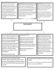 Acute Pyelonephritis Patho Map Docx Signs Symptoms The Classic