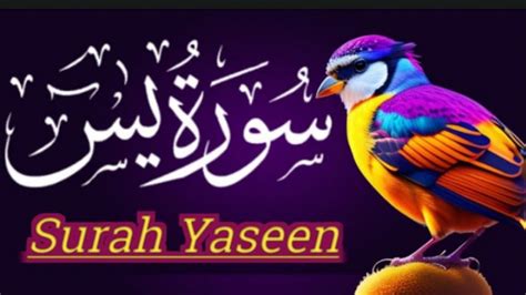 Surah Yasin Yaseen EP 85 Full With Arabic Beautiful Recitation سورہ یس36