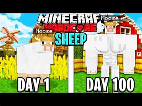 4598 I Survived 100 Days AS A SHEEP In HARDCORE Minecraft YouTube