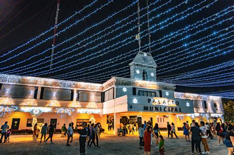 Solidaridad brilla con el tradicional encendido del árbol navideño