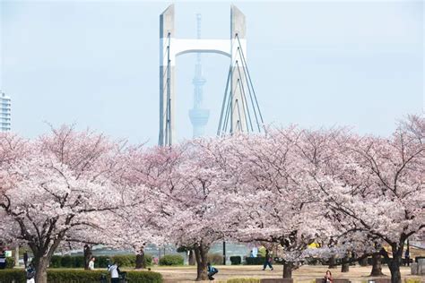 写真ギャラリー公園へ行こう