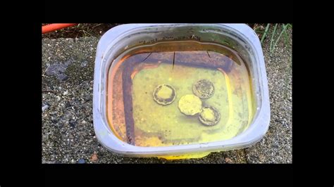 Cleaning Metal Detecting Finds With Muriatic Acid Youtube