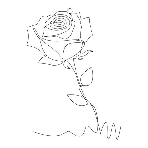 Continuous One Line Rose Flower Outline Vector Art Drawing