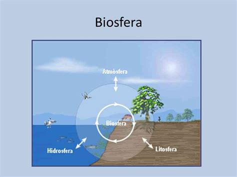 Partes De La Biosfera