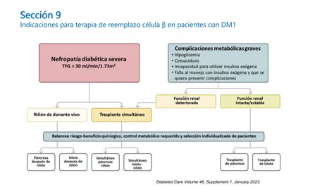 Actualización Guias Care Ada 2024 Agd Pptx