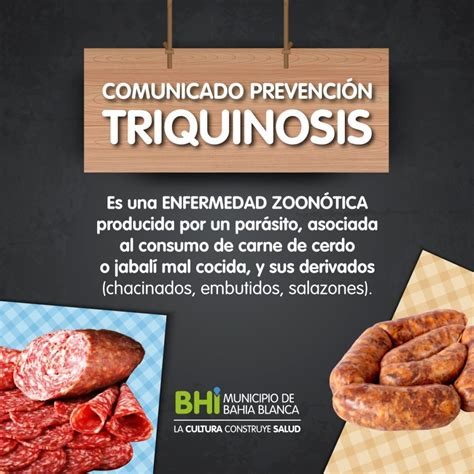 Recomendaciones Para Prevenir La Triquinosis Prensa Bah A