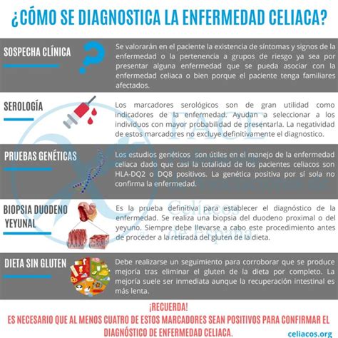 C Mo Se Diagnostica La Celiaqu A M Todos De Diagn Stico Y Pruebas