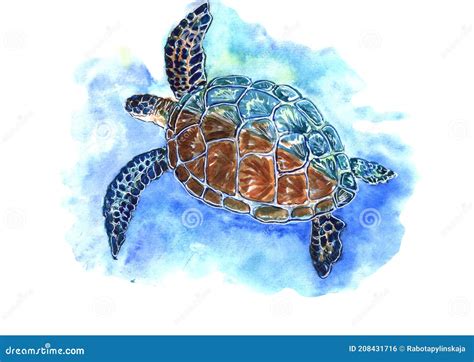 Watercolor Drawing Of A Turtle Swimming In A Blue Sea Stock