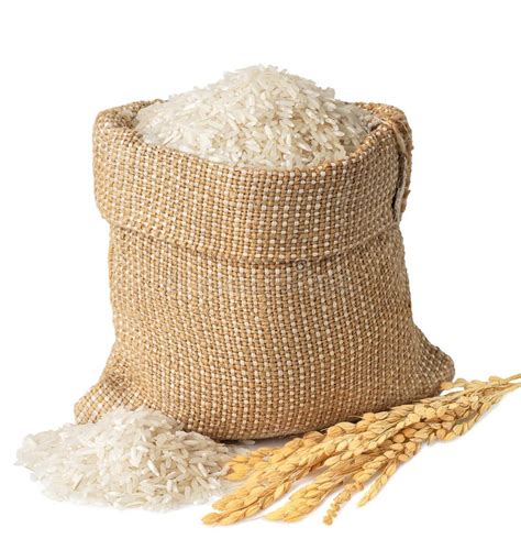 Rice in burlap sack stock image. Image of scattered - 184860559