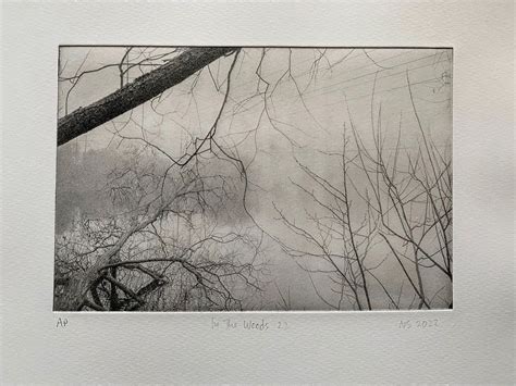 The Polymer Photogravure Process - By Nik Stanbridge - 35mmc