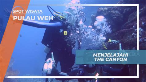 The Canyon Menjelajahi Pesona Keindahan Bawah Laut Pulau Weh