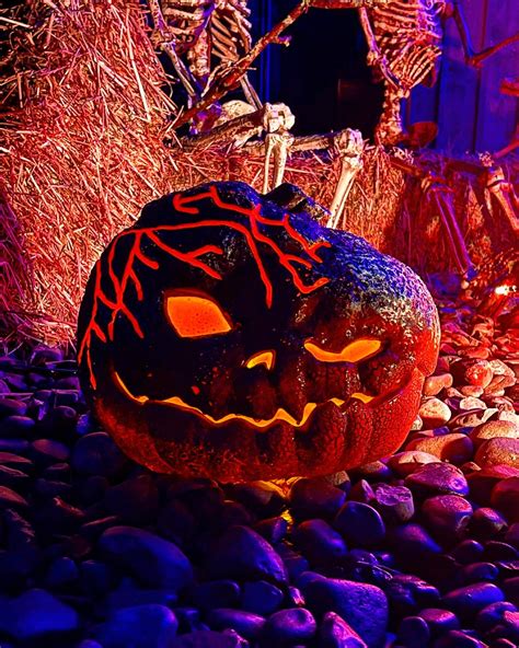 wild animal park hours