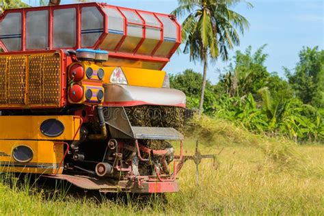 Combine Harvester Working on Rice Field. Harvesting is the Process of ...