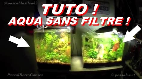 Tuto Aquarium Sans Filtre Poubellarium D Int Rieur Pascal Aquariums