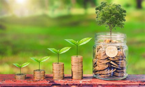 Guia Como Investir em Fundos ESG - Meu Bolso em Dia