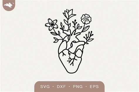 Anatomical Heart Svg With Flowers Graphic By Elinecreative Creative