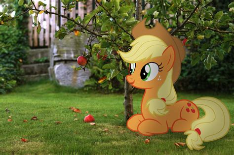 Safe Artist Stormxf Applejack Irl Photo Ponies In Real