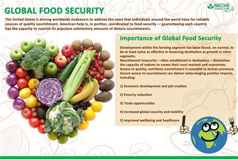 Global Food Security Its Causes And Importance My Blog