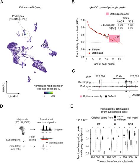 Quality Assessment And Refinement Of Chromatin Accessibility Data Using