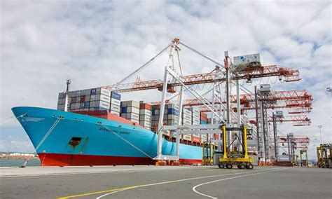 kotahi maersk sign  long term freight agreement   zealand