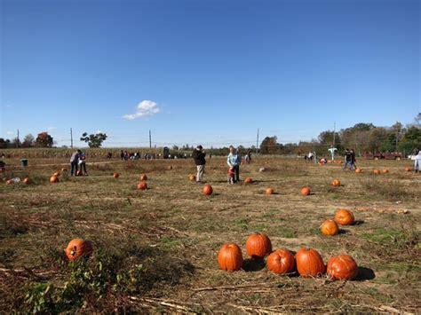 Terhune Orchards 330 Cold Soil Road Princeton Junction New Jersey