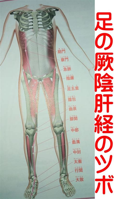 インナーマッスル大腰筋の筋連鎖反応とツボを使い緩める 大阪府門真市の栗岡整体院