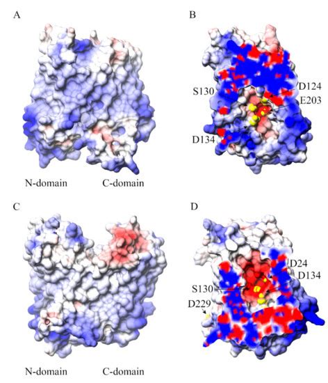 Ijms Free Full Text Dynamical Behavior Of The Human Ferroportin