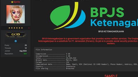 Bjorka Kembali Klaim Punya Juta Data Bpjs Ketenagakerjaan Tekno