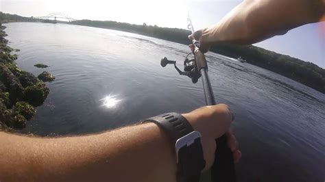 Cape Cod Canal Epic Striper Blitz Youtube