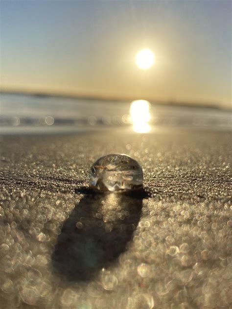 Visiting corona del mar state beach reveals a surprising cove 24