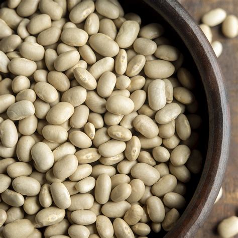 Germinacion Del Poroto Paso A Paso 6