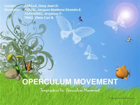 PPT - OPERCULUM MOVEMENT PowerPoint Presentation, free download - ID:6966380