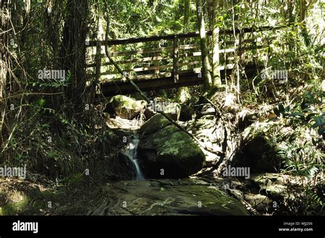 Serenity Falls Buderim Sunshine Coast Queenslad Australia Stock Photo