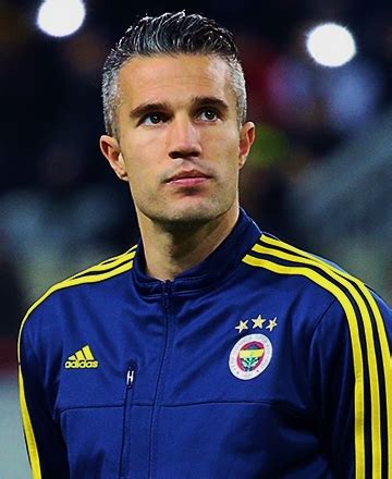 Robin van Persie - Wikipedia