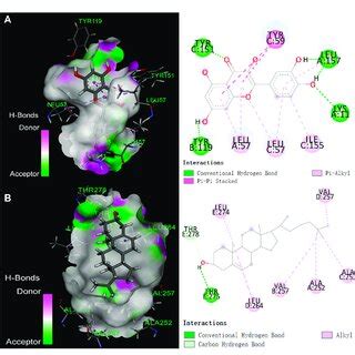 The Binding Mode Of Compounds With Target Proteins A Quercetin TNF