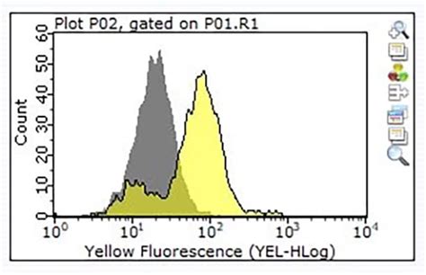 Key Steps In Flow Cytometry Protocols