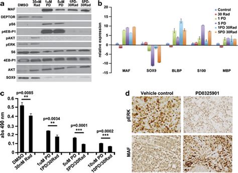 Mek Inhibition Recapitulates Effects Of Maf In Mpnst Cells A Western