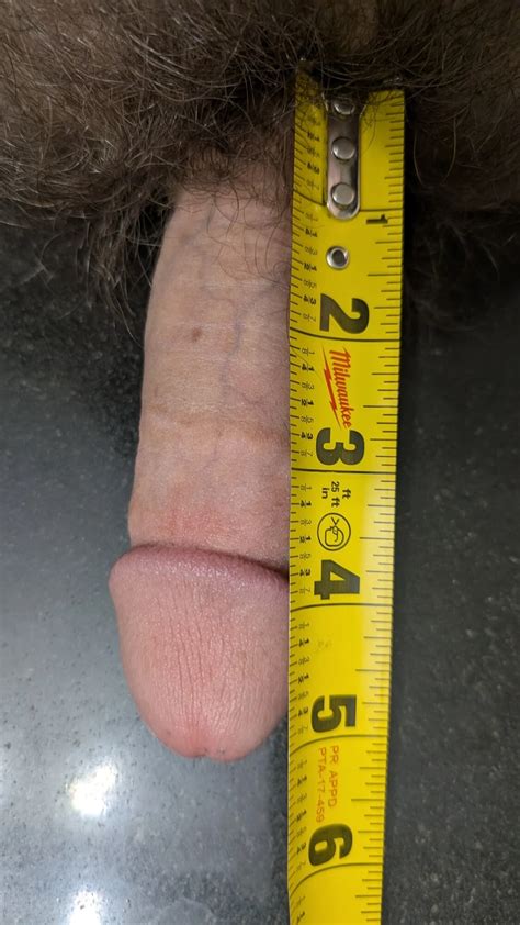 Measurements Nude Pics XHamster