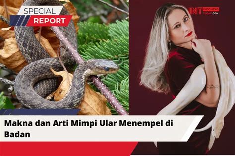 Apa Kata Islam Tentang Mimpi Ular Menempel Di Badan Simak