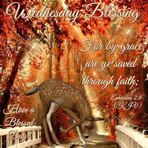 Good Morning Happy Wednesday I Pray That You Have A Safe And Blessed