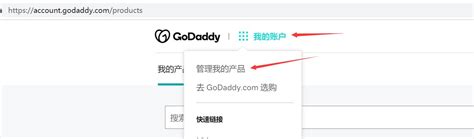 Godaddy的域名怎么进行ip解析 31idc