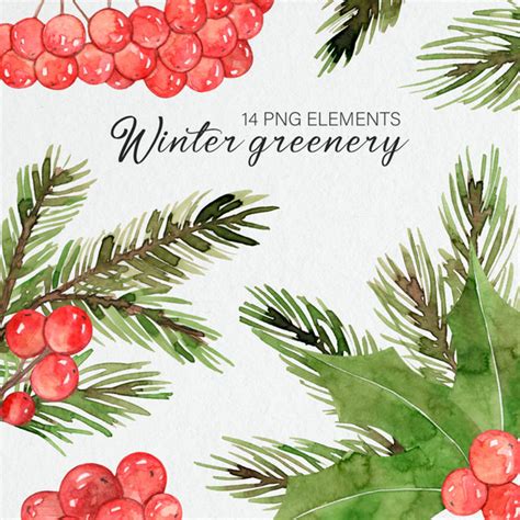 Watercolor Christmas Greenery Clipart / Winter Greenery / Ho | Inspire ...