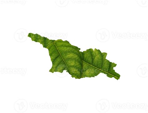 Georgia Map Made Of Green Leaves Ecology Concept 27243968 PNG