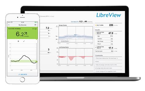 LibreView Reports | FreeStyle Blood Glucose Meters