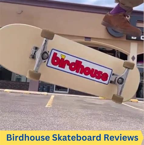 Types of Skateboards for Beginners that are Easiest to Ride