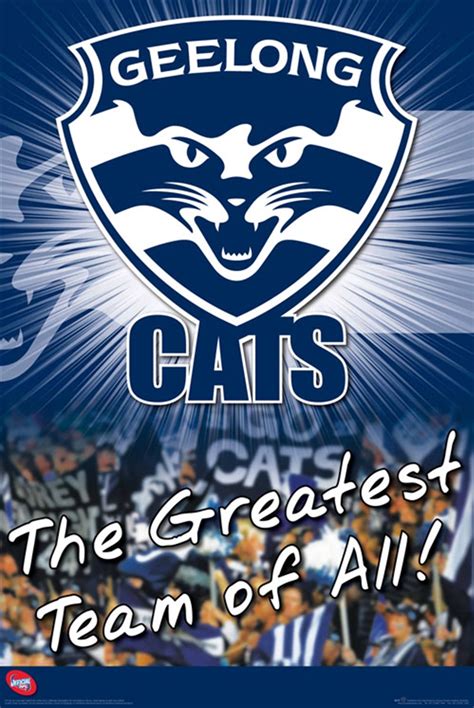 Buy Afl Geelong Cats Logo Poster In Posters Sanity