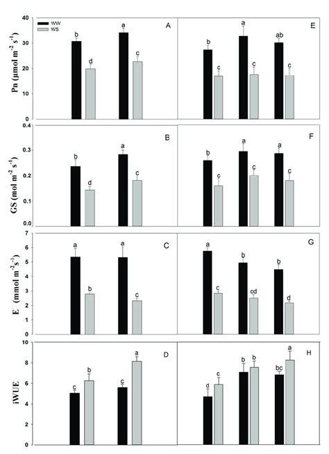 Photosynthetic Rate Pn A Stomatal Conductivity Gs B