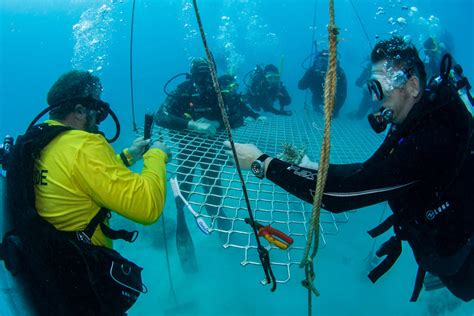 Ways You Can Help Protect The Reef Cairns Great Barrier Reef