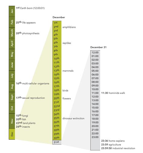 Earth’s Calendar Year - Biomimicry 3.8