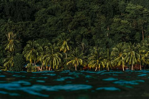 Tioman On Behance